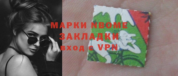 гидра Надым