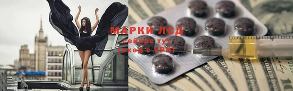 гидра Надым