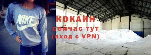 гидра Надым