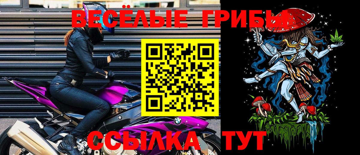 Галлюциногенные грибы GOLDEN TEACHER  Псилоцибиновые грибы MAGIC MUSHROOMS  Саров 